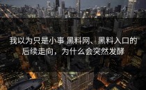 我以为只是小事 黑料网、黑料入口的后续走向，为什么会突然发酵