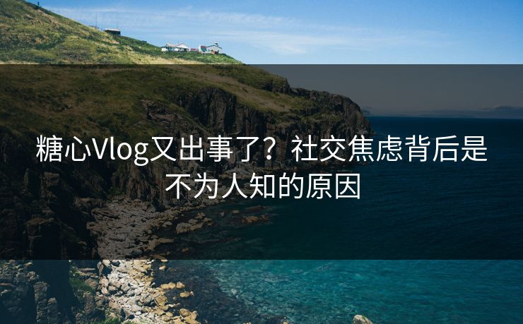 糖心Vlog又出事了？社交焦虑背后是不为人知的原因  第1张