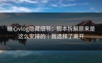 糖心vlog隐藏细节：脚本拆解原来是这么安排的｜我选择了离开