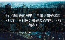 冷门但重要的细节：三句话讲透黑料不打烊、黑料网：关键节点在哪 （隐藏点）