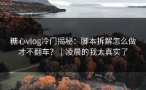 糖心vlog冷门揭秘：脚本拆解怎么做才不翻车？｜凌晨的我太真实了