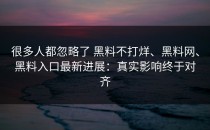 很多人都忽略了 黑料不打烊、黑料网、黑料入口最新进展：真实影响终于对齐