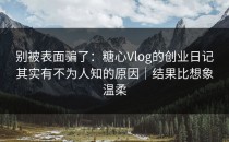 别被表面骗了：糖心Vlog的创业日记其实有不为人知的原因｜结果比想象温柔