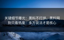 关键细节曝光：黑料不打烊、黑料网别只看热度：多方说法才是核心