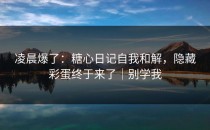 凌晨爆了：糖心日记自我和解，隐藏彩蛋终于来了｜别学我