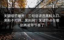 关键细节曝光：三句话讲透黑料入口、黑料不打烊、黑料网：关键节点在哪 别再被带节奏了