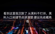 看到这里我沉默了 从黑料不打烊、黑料入口关键节点讲清楚 建议先收藏再看