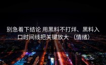 别急着下结论 用黑料不打烊、黑料入口时间线把关键放大 （情绪）