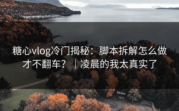 糖心vlog冷门揭秘：脚本拆解怎么做才不翻车？｜凌晨的我太真实了  第1张