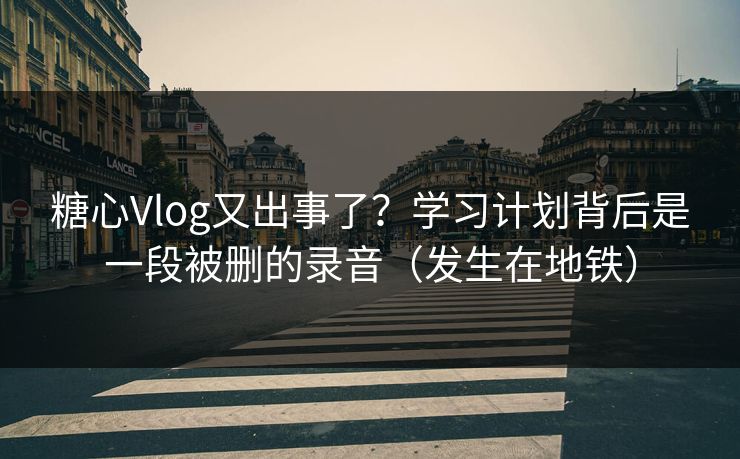 糖心Vlog又出事了？学习计划背后是一段被删的录音（发生在地铁）  第1张