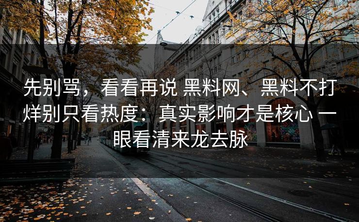 先别骂，看看再说 黑料网、黑料不打烊别只看热度：真实影响才是核心 一眼看清来龙去脉  第1张