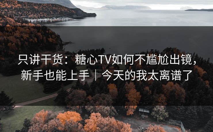 只讲干货：糖心TV如何不尴尬出镜，新手也能上手｜今天的我太离谱了  第1张