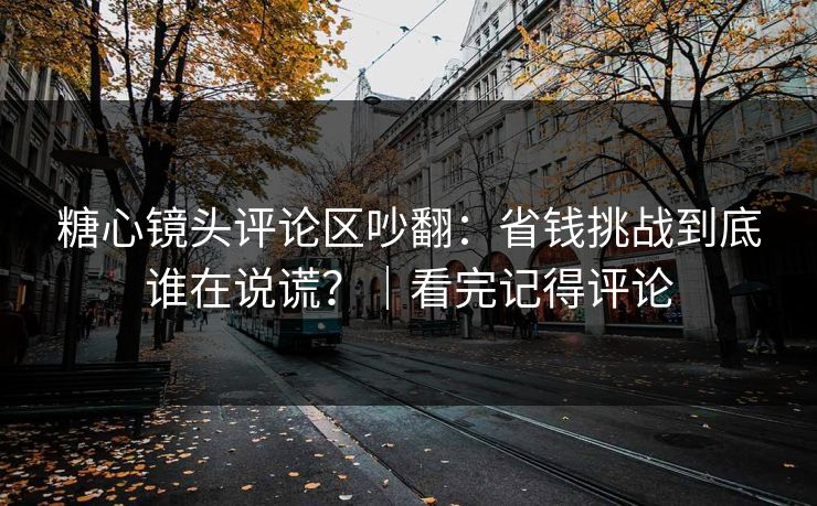 糖心镜头评论区吵翻：省钱挑战到底谁在说谎？｜看完记得评论  第1张