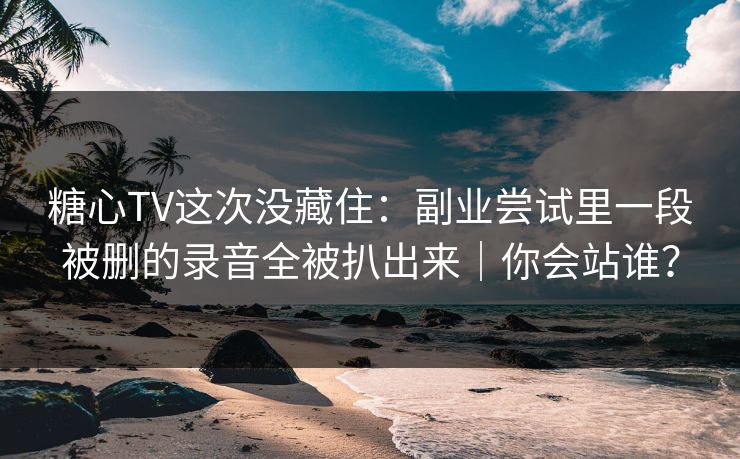 糖心TV这次没藏住：副业尝试里一段被删的录音全被扒出来｜你会站谁？  第1张