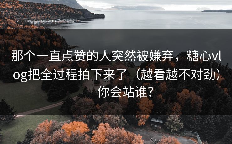 那个一直点赞的人突然被嫌弃，糖心vlog把全过程拍下来了（越看越不对劲）｜你会站谁？  第1张